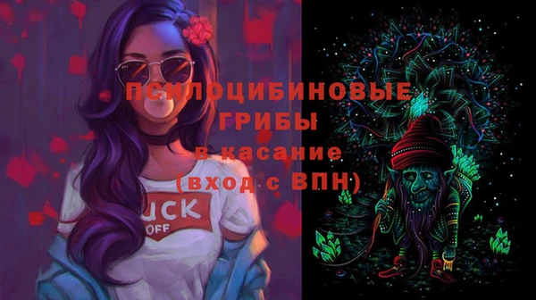 a pvp Белокуриха