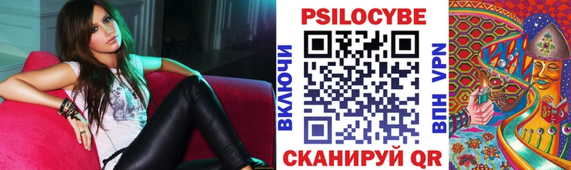 Галлюциногенные грибы Psilocybine cubensis Бутурлиновка